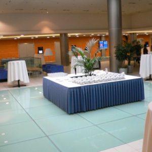 pochozi-sklo-podlaha-profisklo-1